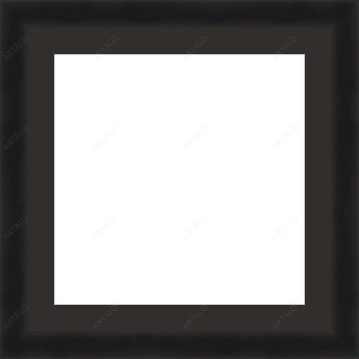 Frame, Mat and Acrylic SimulArt
