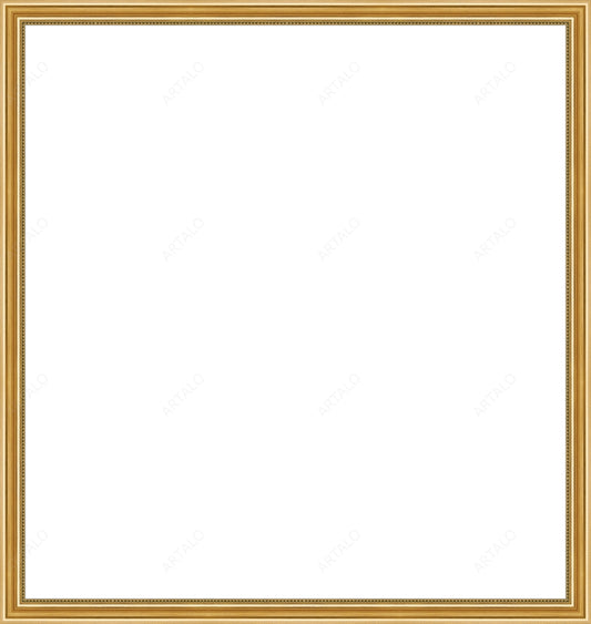 Frame and Acrylic SimulArt