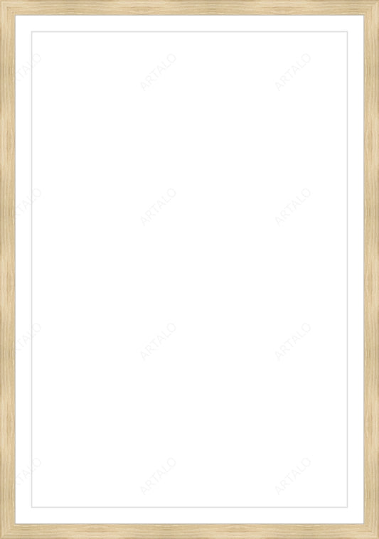 Frame, Mat and Acrylic SimulArt