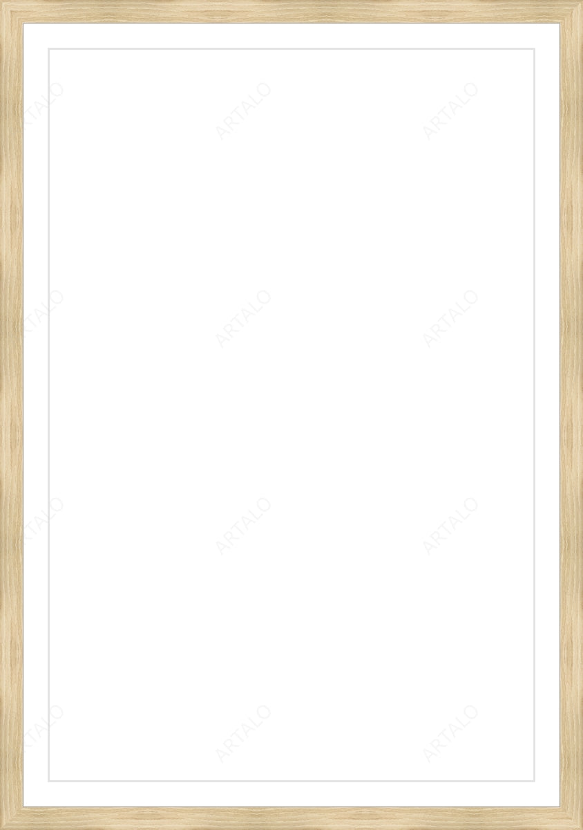 Frame, Mat and Acrylic SimulArt