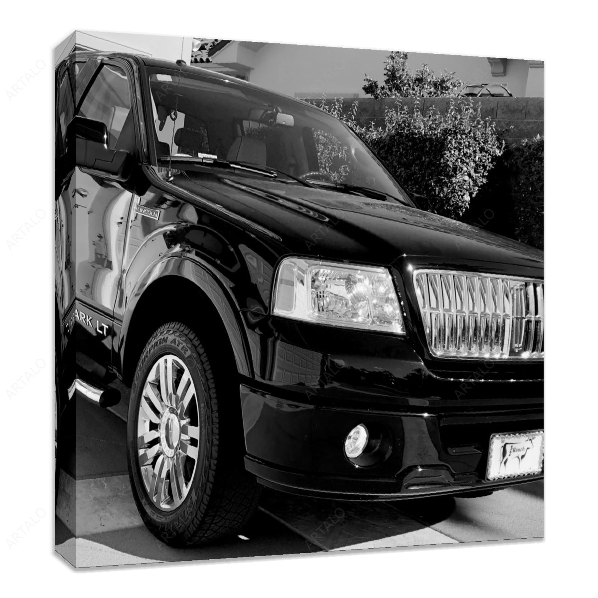 Stretched Canvas SimulArt