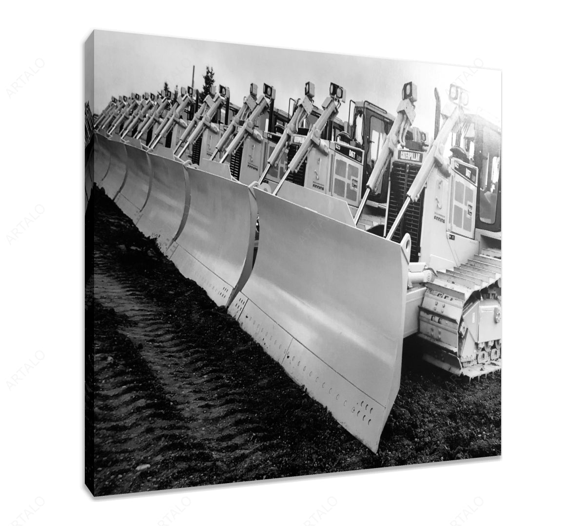 Stretched Canvas SimulArt