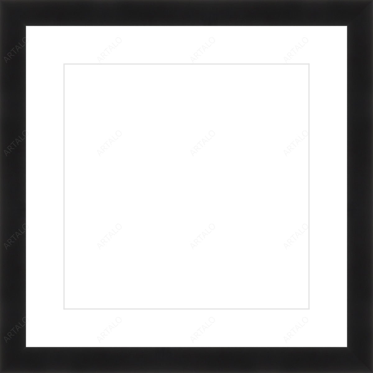 Frame, Mat and Acrylic SimulArt