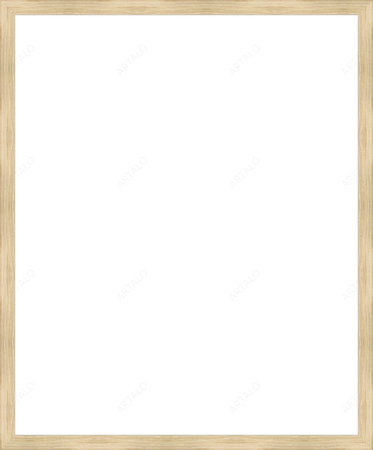 Frame and Acrylic SimulArt