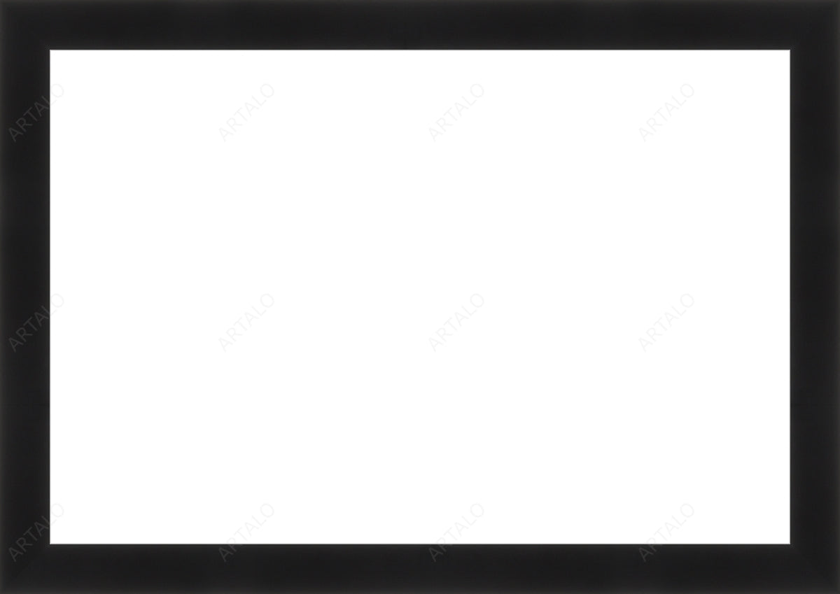 Frame and Acrylic SimulArt