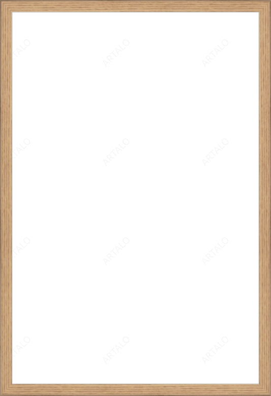 Frame and Acrylic SimulArt