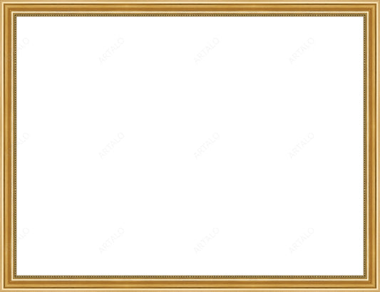 Frame and Acrylic SimulArt