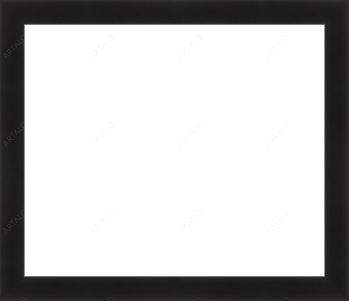 Frame and Acrylic SimulArt