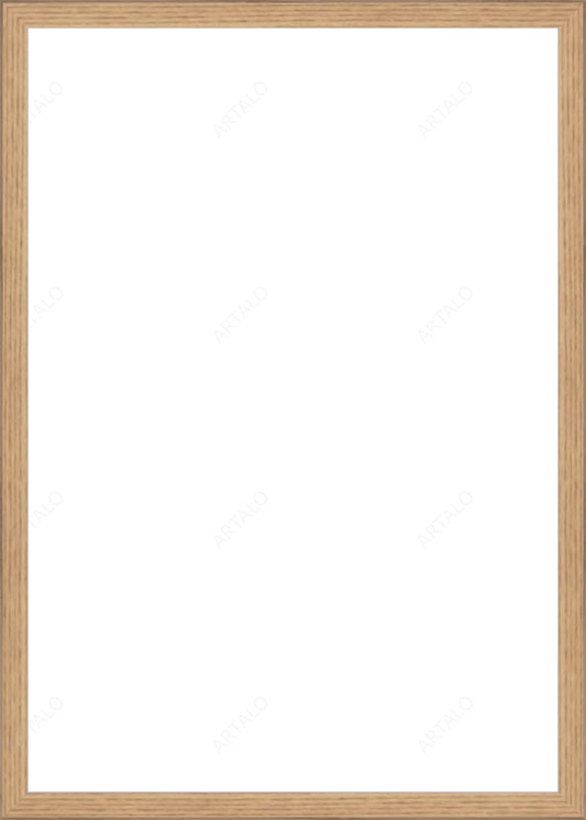 Frame and Acrylic SimulArt