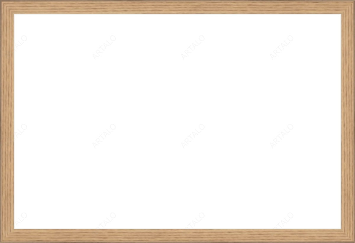Frame and Acrylic SimulArt