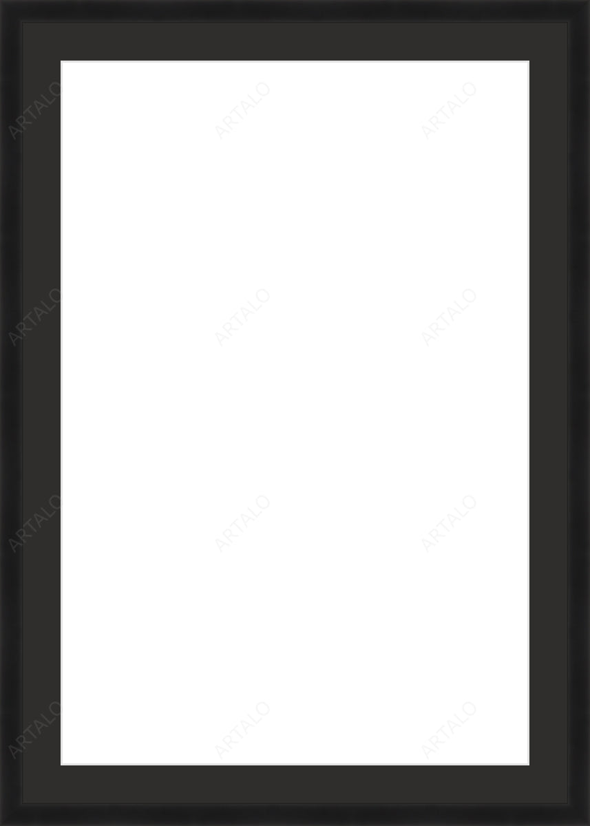Frame, Mat and Acrylic SimulArt