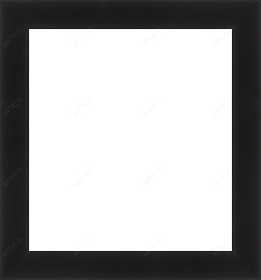 Frame and Acrylic SimulArt