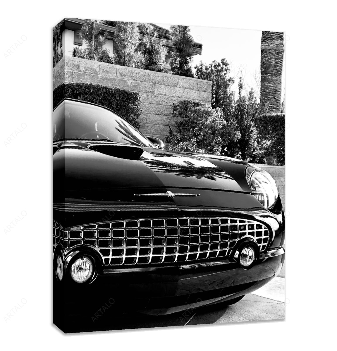 Stretched Canvas SimulArt