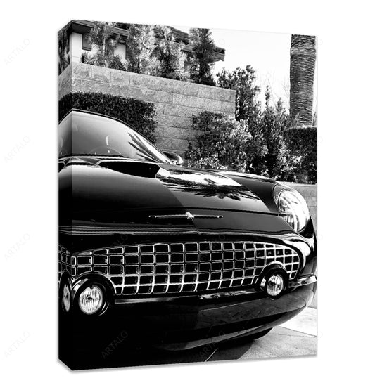Stretched Canvas SimulArt