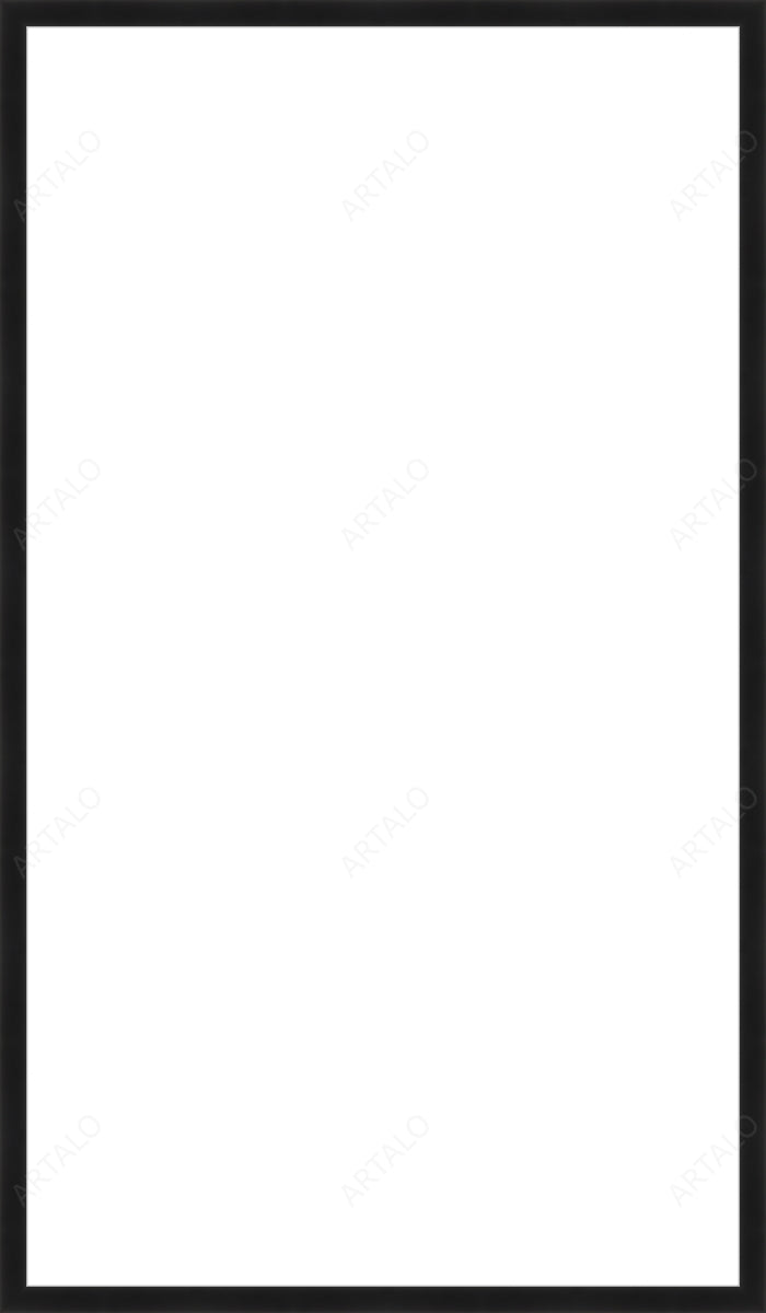 Frame and Acrylic SimulArt