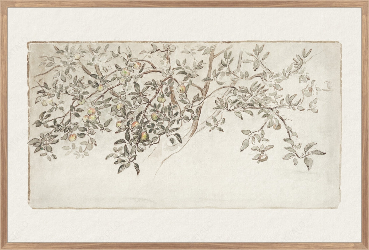 Apple Tree Sketch SimulArt