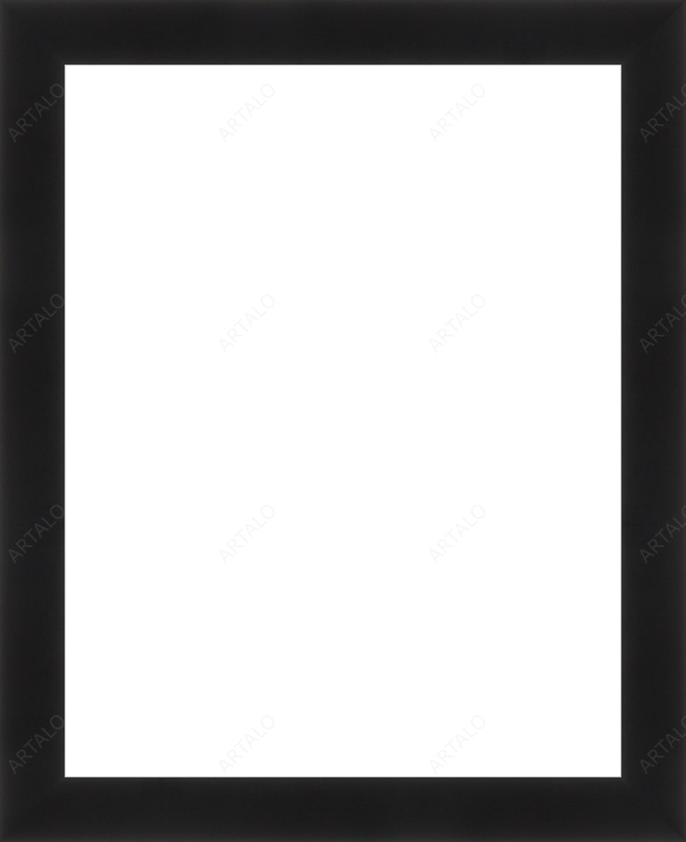 Frame and Acrylic SimulArt