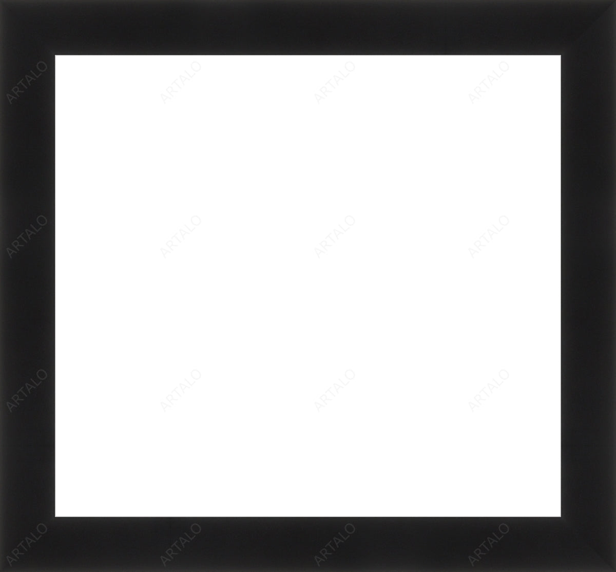 Frame and Acrylic SimulArt