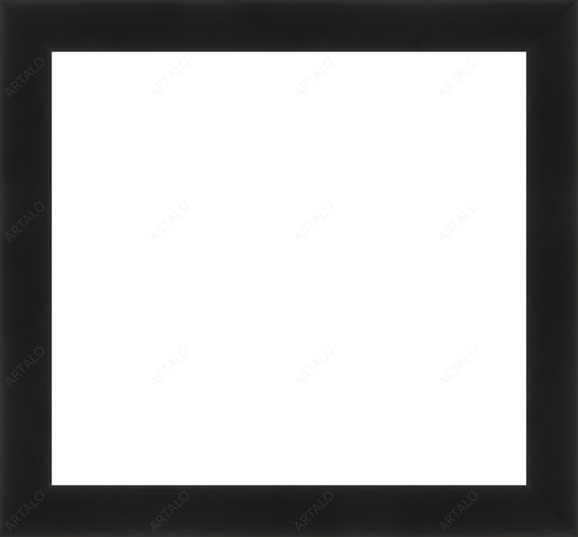 Frame and Acrylic SimulArt