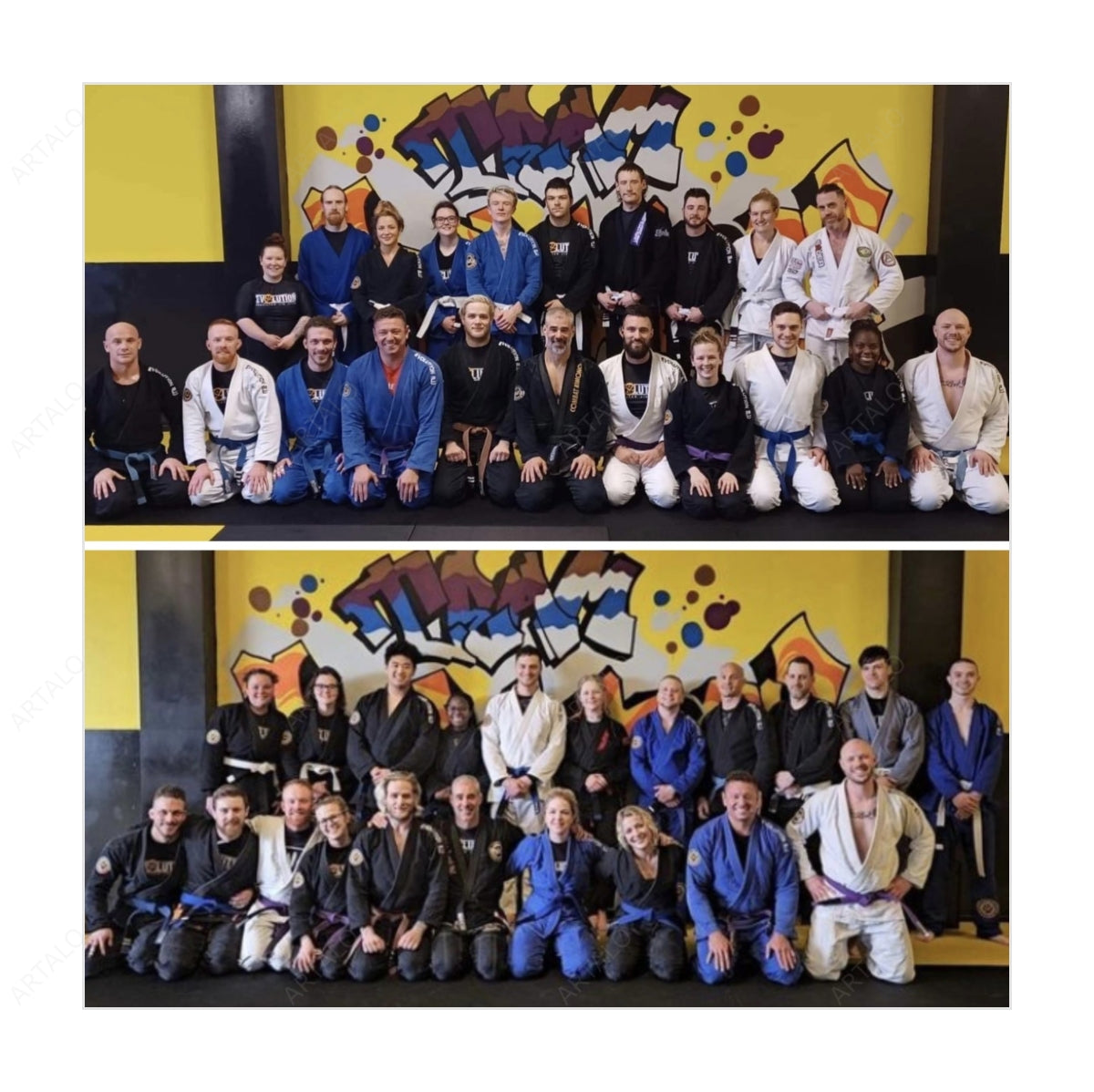 Mat Only SimulArt