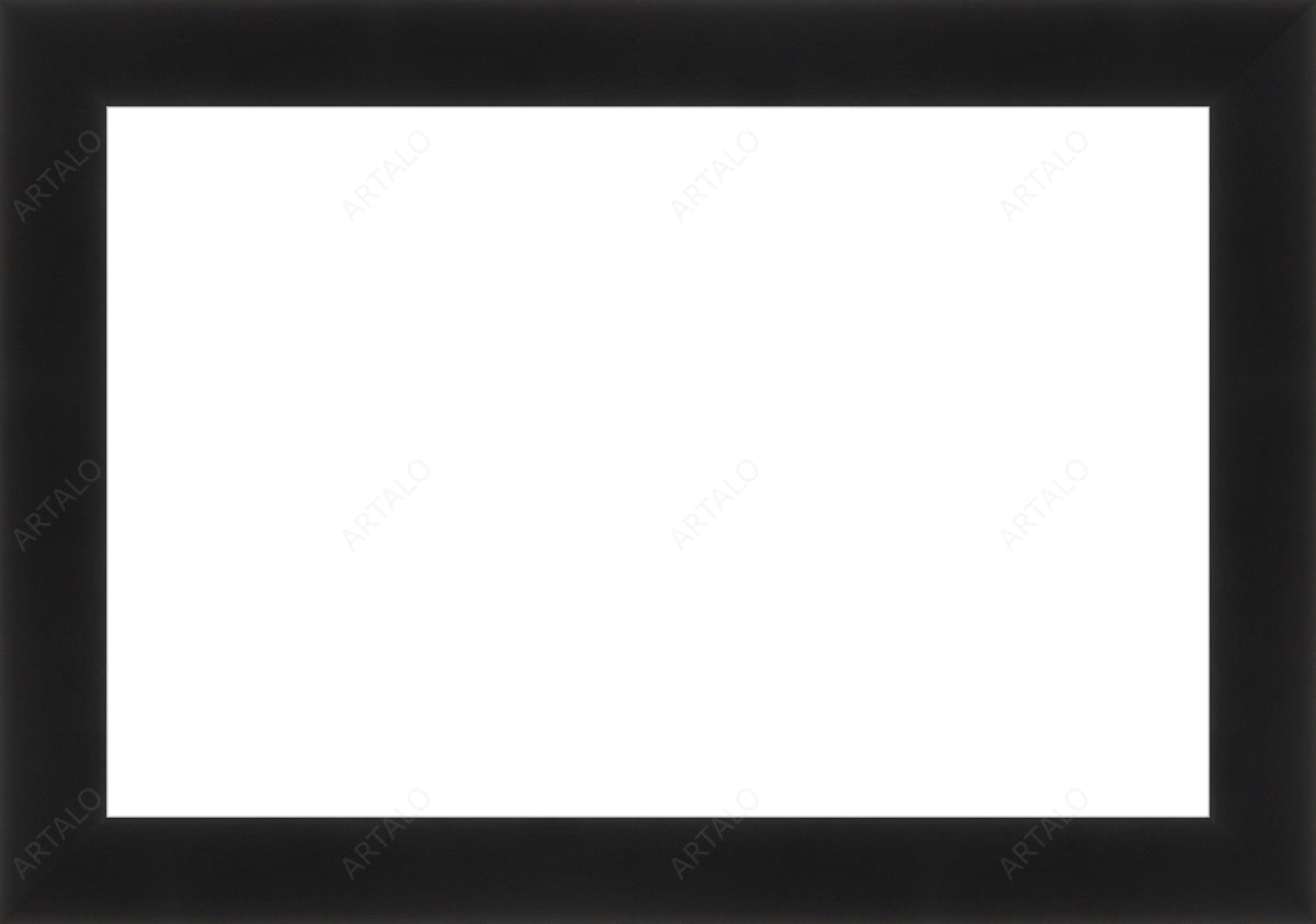 Frame and Acrylic SimulArt