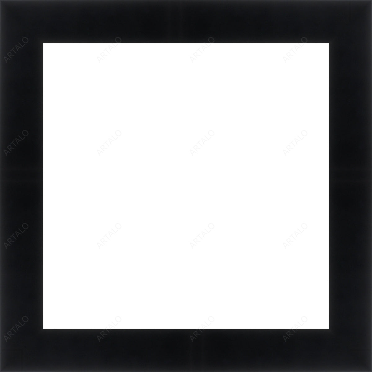 Frame and Acrylic SimulArt