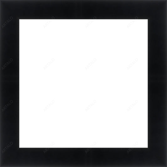Frame and Acrylic SimulArt