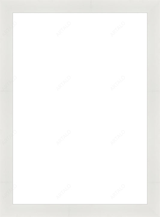 Frame and Acrylic SimulArt