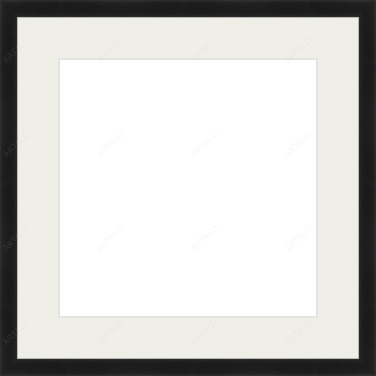 Frame, Mat and Acrylic SimulArt