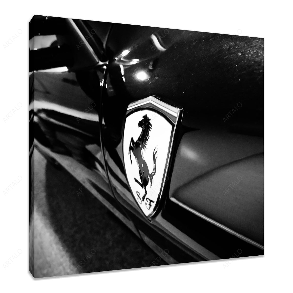 Stretched Canvas SimulArt