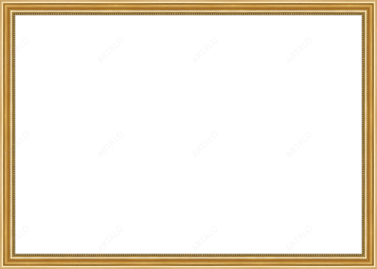 Frame and Acrylic SimulArt