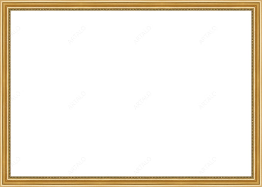 Frame and Acrylic SimulArt